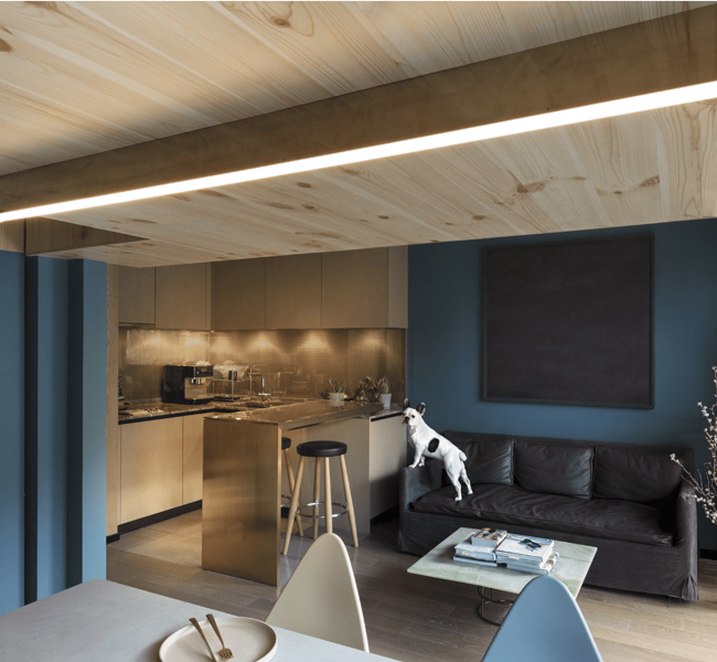 B-LIGHT COFFEE PITCH - Project TREE HOUSE HONG KONG PIC
